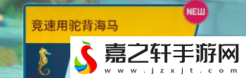 潜水员戴夫海马在哪抓