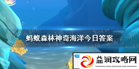 猜一猜以下哪种鲸喷出的水柱是双股的