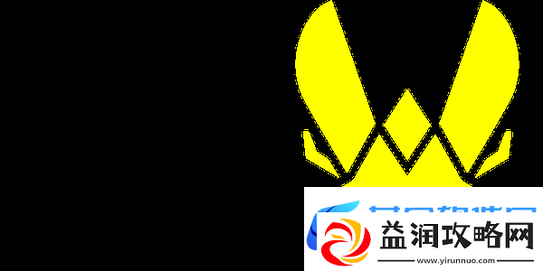 征战11年