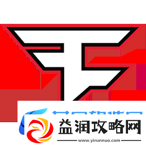 征战11年