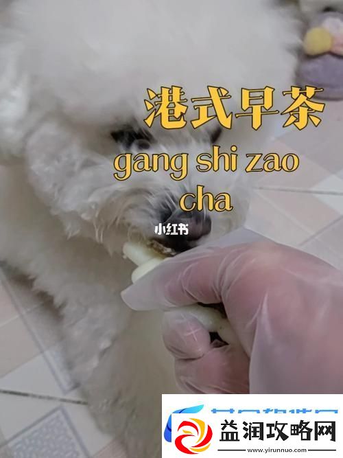 详尽解析美国人与动物胶配方大全-揭示工艺与创意的背后