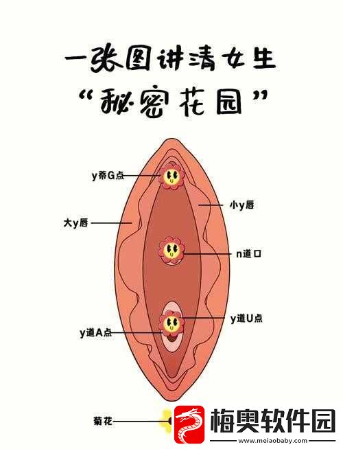 特黄三级又爽又粗又大洗澡：探索身体的私密之旅