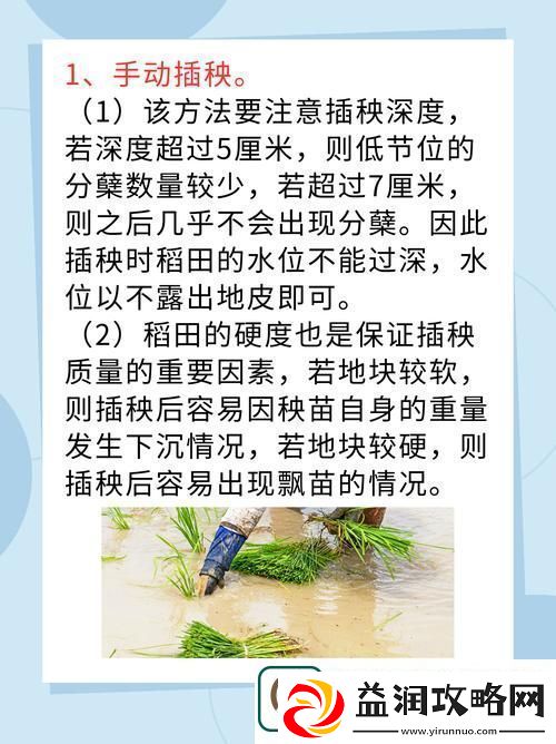 夫妻插秧38种方法图片-友：创意无穷-幸福满满！