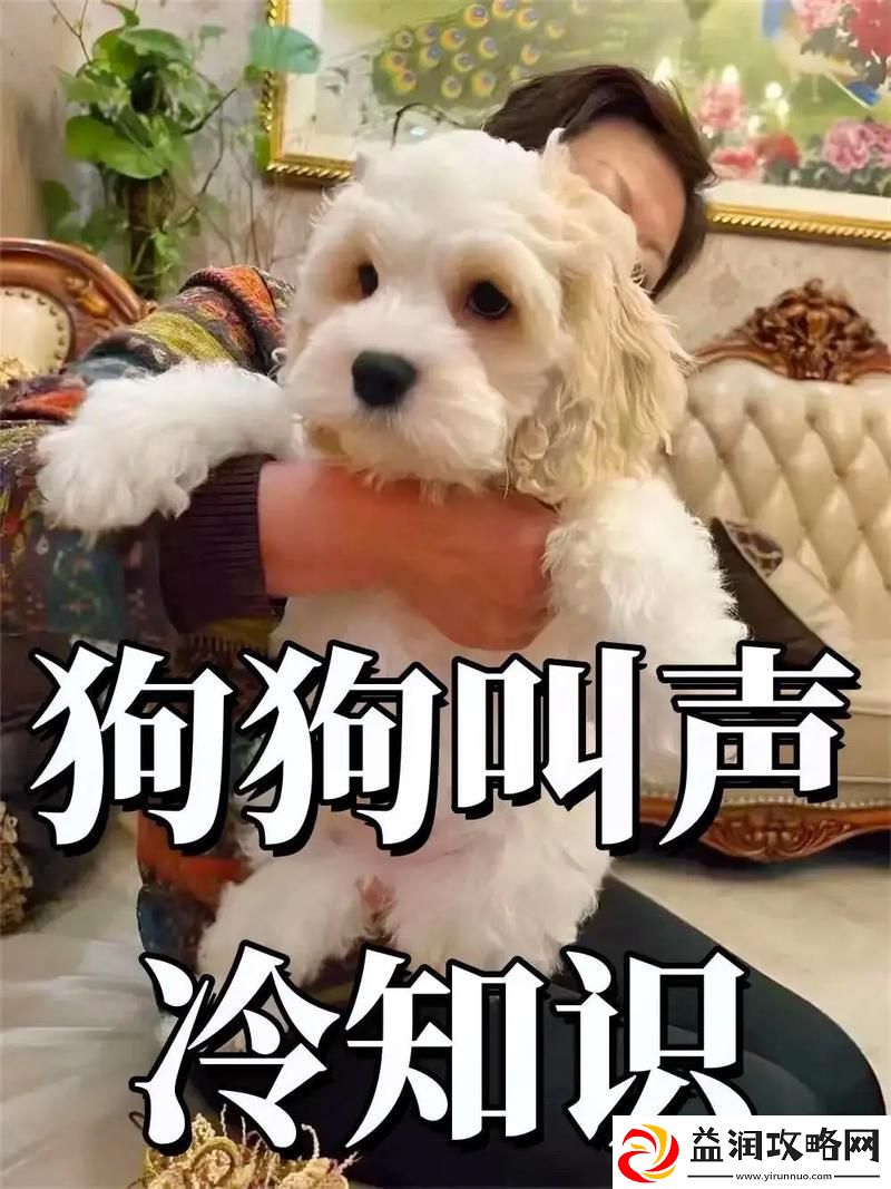 抖S狗狗要乖乖听主人的话-网友：这狗子太可爱了！
