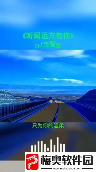 我的朋友她的麦子DJ