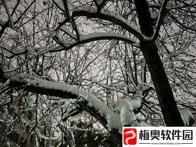 小雪爽⋯好大⋯快⋯深点的奇幻冬日柯林资讯