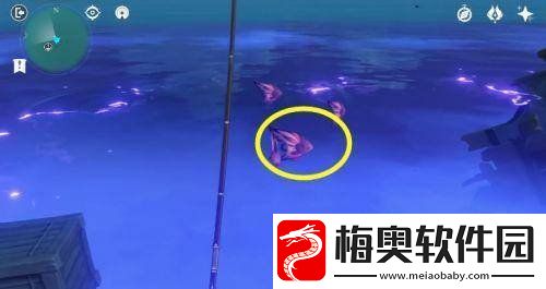 原神雷鸣仙怎么钓
