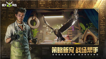 抢滩登陆2002怎么设置弹药无限游戏中的技巧与配置方法全解析