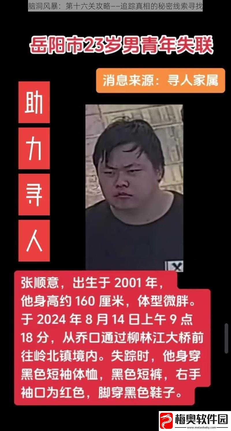 揭秘脑洞风暴