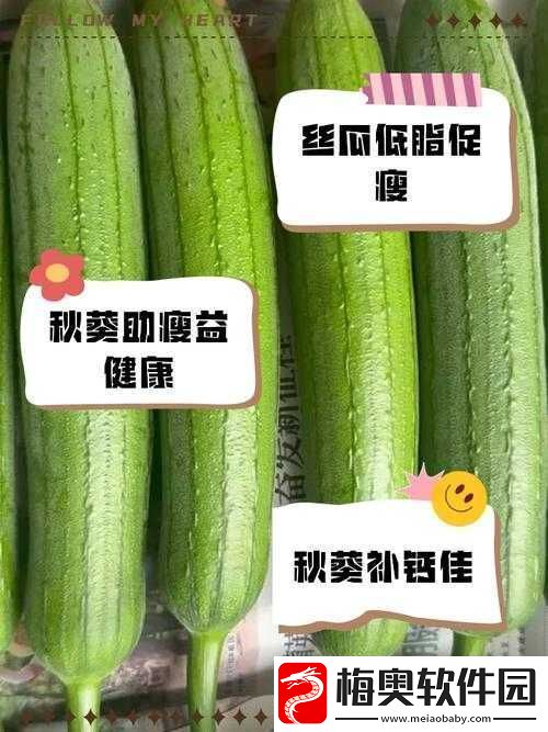 秋葵茄子丝瓜香瓜榴莲大全
