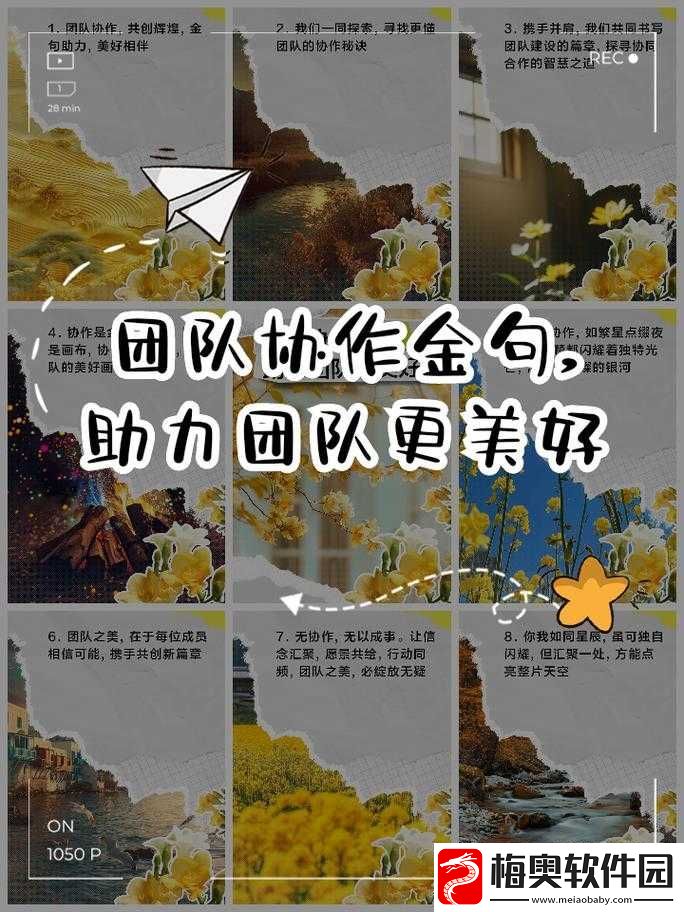 四人轮换活动对团队协作及个人成长的意义与影响探讨