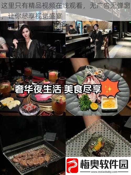 这里只有精品视频在线观看