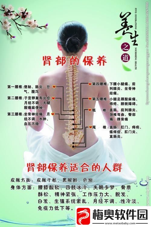 “肾机保养成新时尚