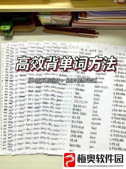 不可描述的单词记忆