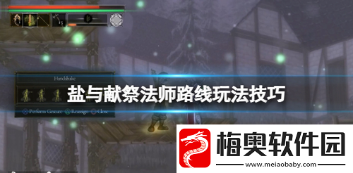 盐与献祭法师路线怎么玩-盐与献祭法师路线玩法技巧