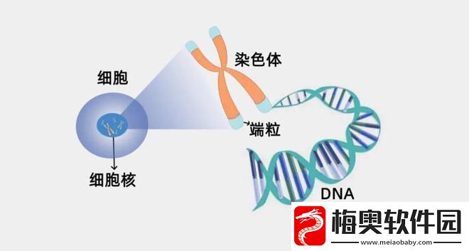 基因汤里的奇趣幻想：当兽性与人性共舞