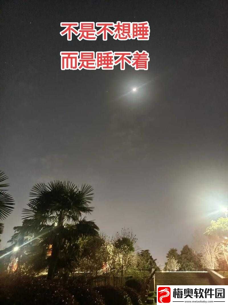 一个人晚上睡不着想看点什么：推荐清单