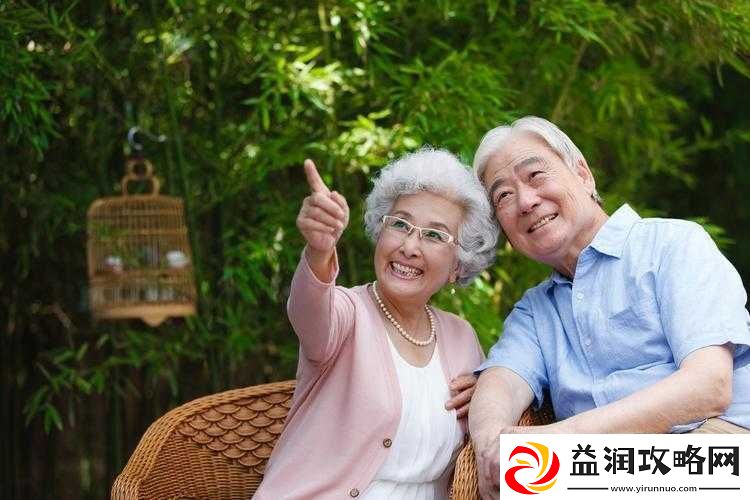 老年人的-BB：关于老年人生活与健康的深入探讨