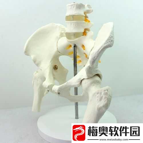 野骨骨科-1-v1：专业骨科医疗服务