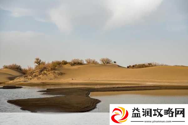 探索阿拉善沙漠多沙漠的神秘融合