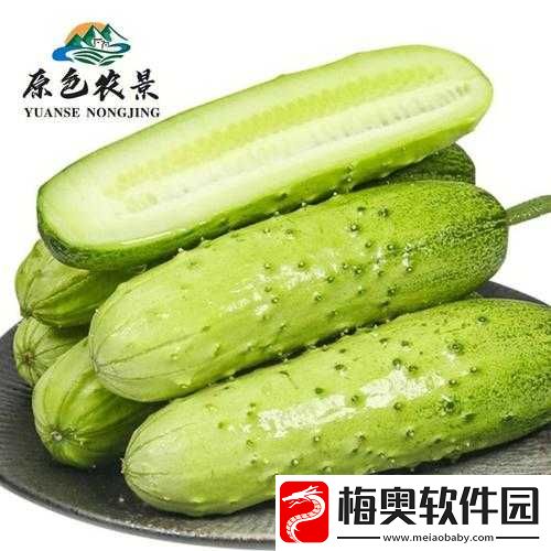推荐：小东西才一根黄瓜而已