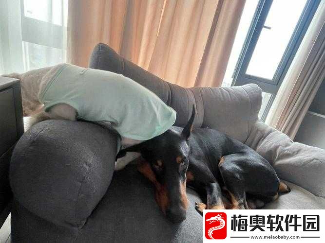 坐着轮流提双腿的功效是什么