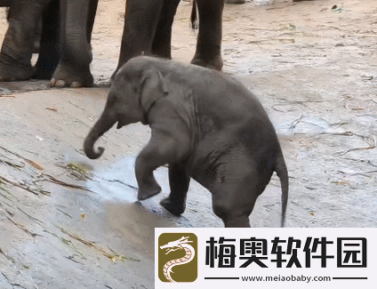 满-18-点此安全转入-2023-大象：你准备好了吗
