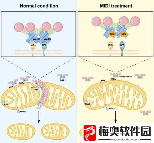 DNAandCellBiology-Insights-and-Discoveries