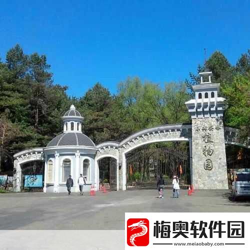 如何进入伊春园2023：如何顺利进入伊春园畅游自然之美