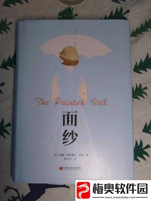 萌萌塔阴影面纱获取攻略及属性推荐：揭开神秘面纱的获取方法与属性选择之道