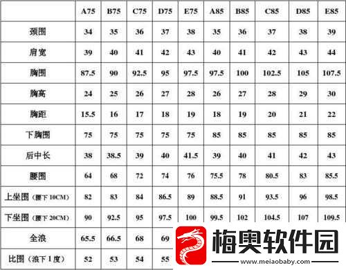 欧洲尺码日本尺码专线中老年：中老年服装的专业选择