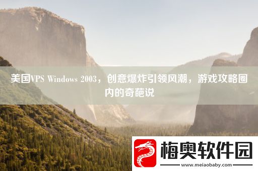美国VPS-Windows-2003-创意爆炸引领风潮圈内的奇葩说