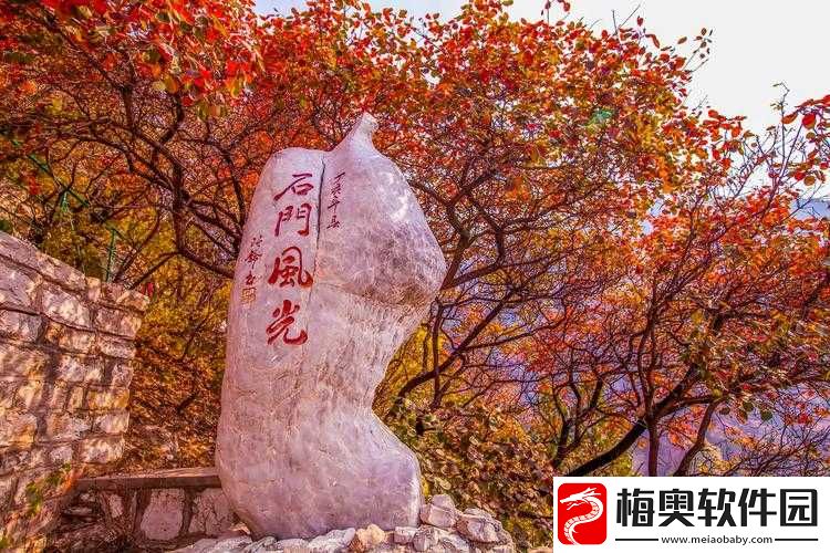 古言高能-lHhh:精彩情节等你来赏