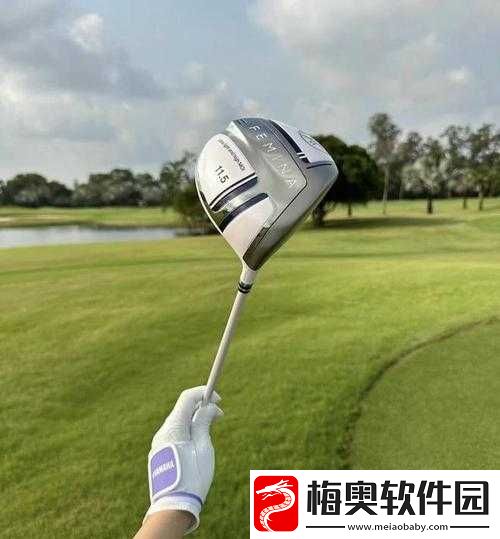 我成了大家的高尔夫球洞：被万人唾弃的日子