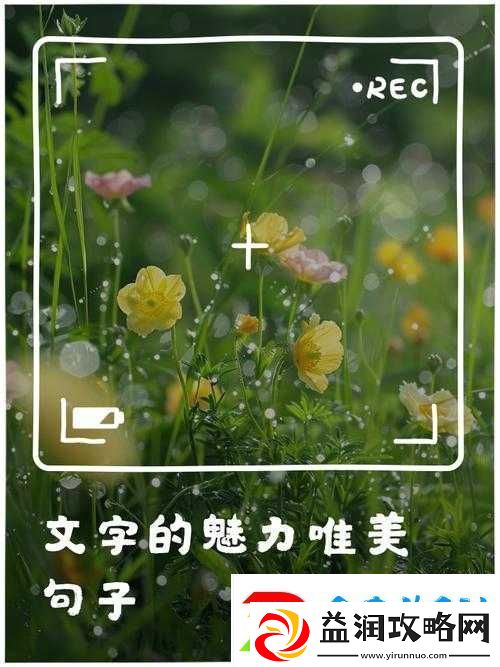 最好好看的中文字幕